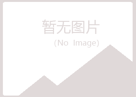 白城晓夏造纸有限公司